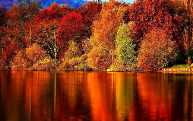 Autumn lake trees orange red free wallpaper for desktop - medium preview image