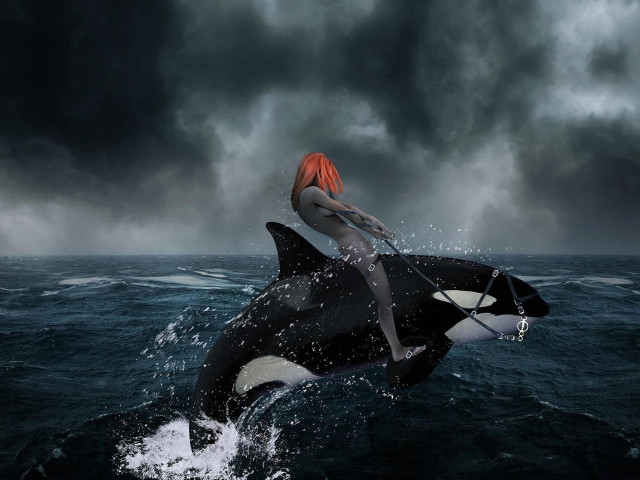 Woman riding whale ocean cloudy free wallpaper for desktop - medium preview image