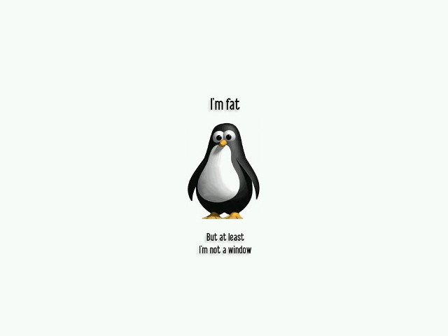 Penguin caption imt not bad free wallpaper for desktop - medium preview image