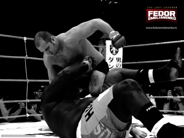 Man wrestling man ring referee free wallpaper for desktop - medium preview image