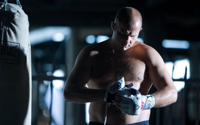 Man shirt boxing glove punching free wallpaper for desktop - medium preview image