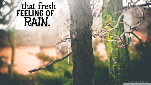 Tree quote on it free wallpaper for desktop - medium preview image