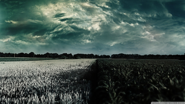 Cloudy sky field grass trees free wallpaper for desktop - medium preview image