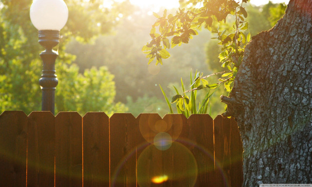 Wooden fence light tree background free wallpaper for desktop - medium preview image