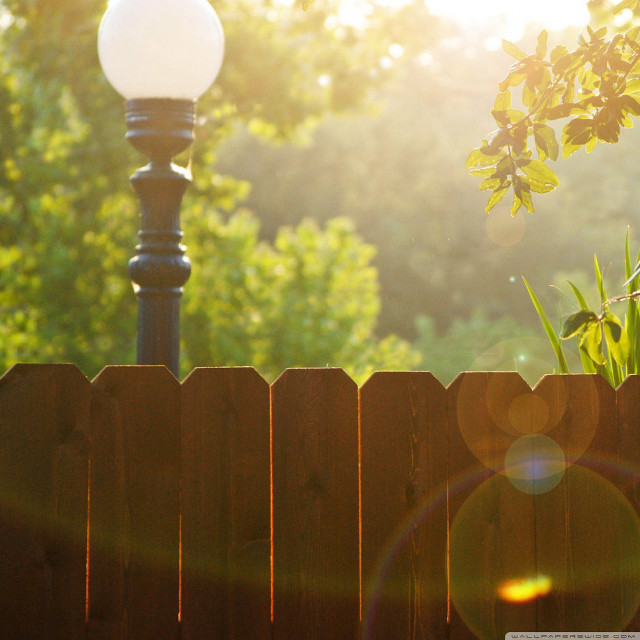 Light pole fence tree sunshine free wallpaper for tablet - medium preview image