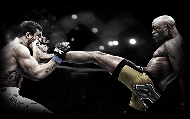 Boxing ring kick hold men #2 free wallpaper for desktop - medium preview image