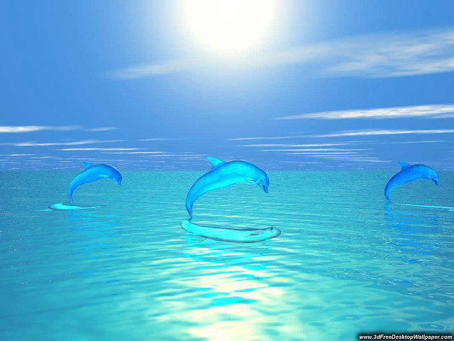 Three dolphins ocean sunlight crystal free wallpaper for desktop - medium preview image