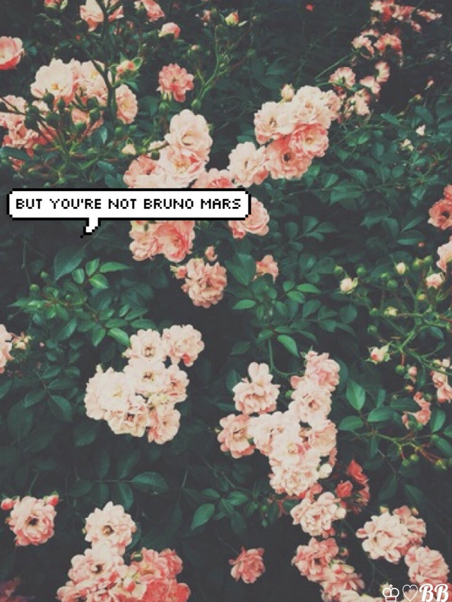 Pink flowers quote beautiful nature free wallpaper for mobile - medium preview image