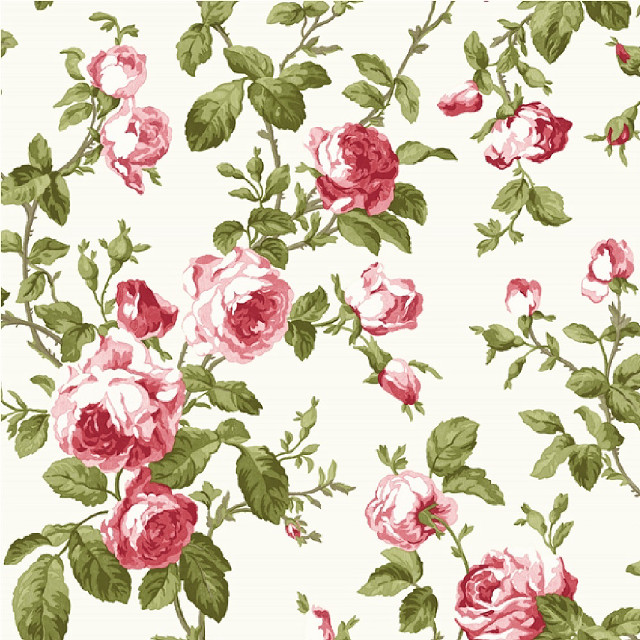 White background pink red roses free wallpaper for tablet - medium preview image