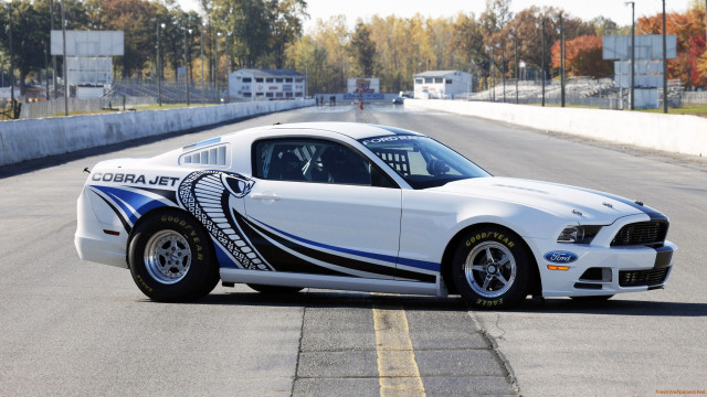 White mustang blue stripe race free wallpaper for desktop - medium preview image