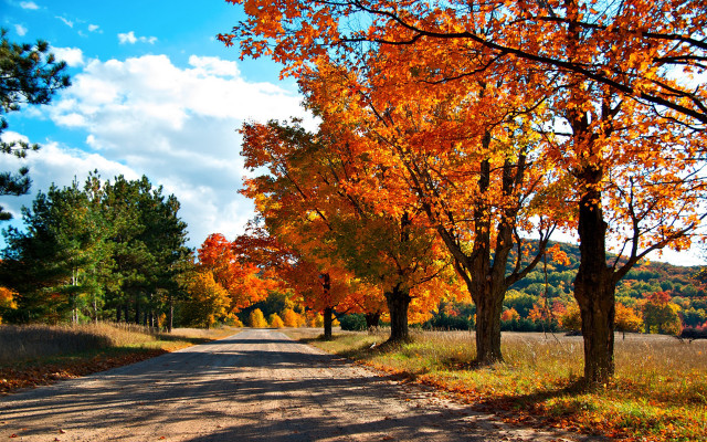 Autumn road trees leaves clouds free wallpaper for desktop - medium preview image
