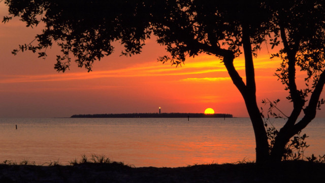 Sunset water tree lighthouse foreground #2 free wallpaper for desktop - medium preview image
