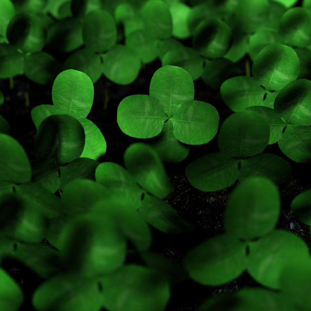 Green leaves black background green #3 free wallpaper for tablet - medium preview image