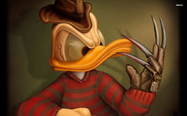 Duck hat claws bird beak free wallpaper for desktop - medium preview image