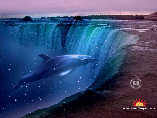 Dolphin swimming waterfall background manmade free wallpaper for desktop - medium preview image