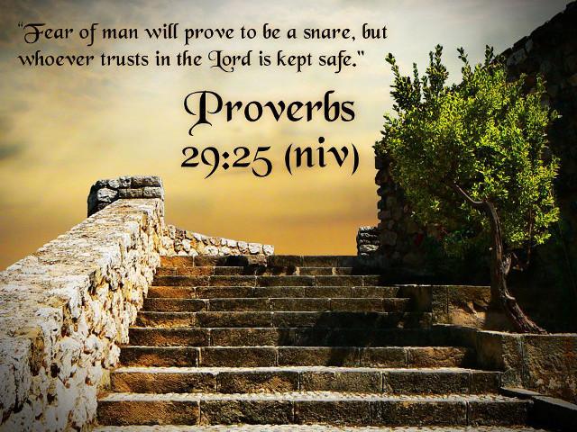 Stone staircase bible verse tree free wallpaper for desktop - medium preview image
