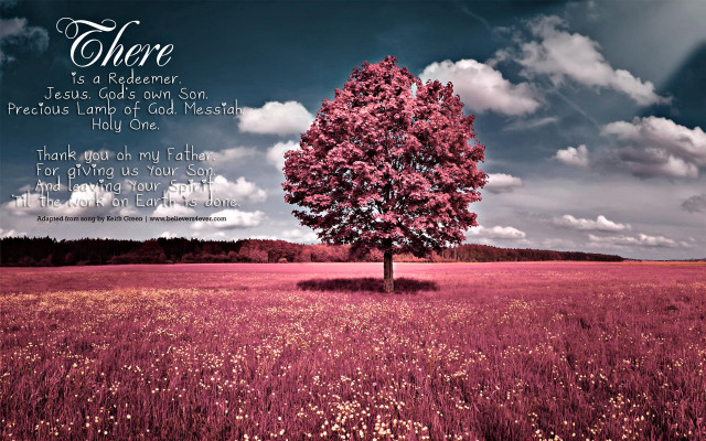Tree field bible verse sky free wallpaper for desktop - medium preview image