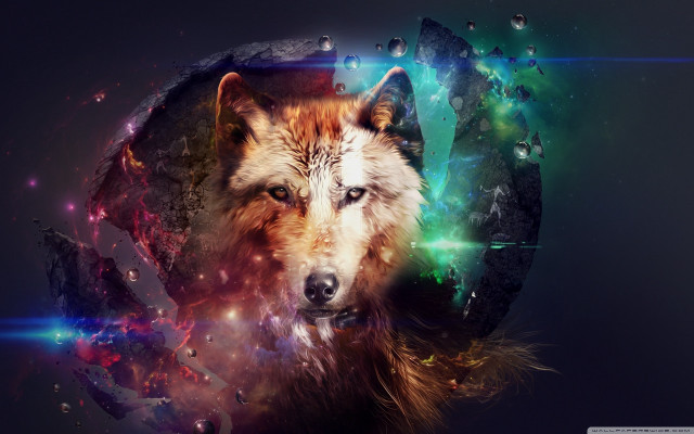 Wolf colorful background space theme free wallpaper for desktop - medium preview image