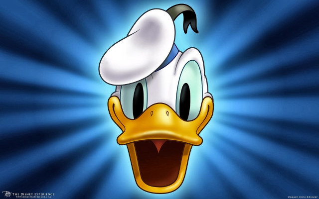 Cartoon duck hat blue background #3 free wallpaper for desktop - medium preview image