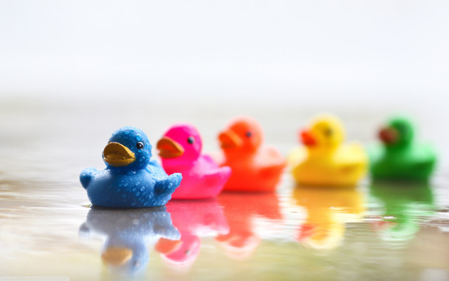 Rubber ducks table reflective surface free wallpaper for desktop - medium preview image