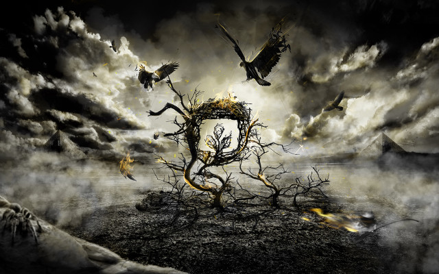 Surreal scene birds tree stump free wallpaper for desktop - medium preview image