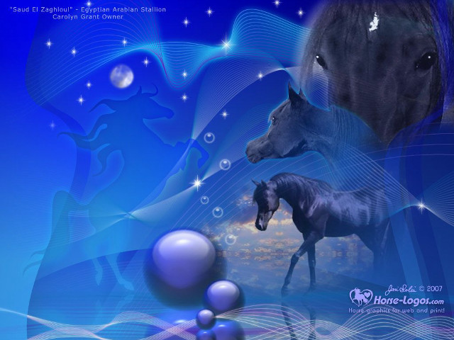 Horses blue background bubbles stars free wallpaper for desktop - medium preview image