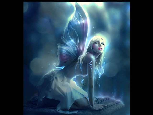 Fairy platform butterfly back wings free wallpaper for desktop - medium preview image
