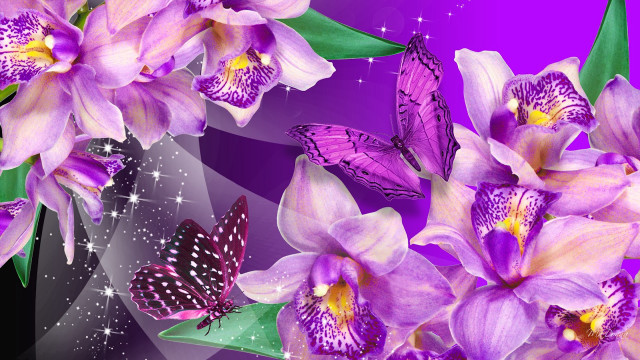 Purple flower butterflies background stars free wallpaper for desktop - medium preview image