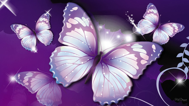 Purple background butterflies flying star #2 free wallpaper for desktop - medium preview image