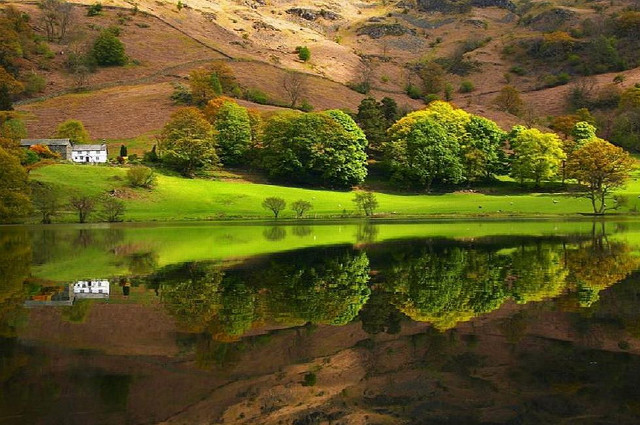 Lake surrounded lush green hillside free wallpaper for desktop - medium preview image
