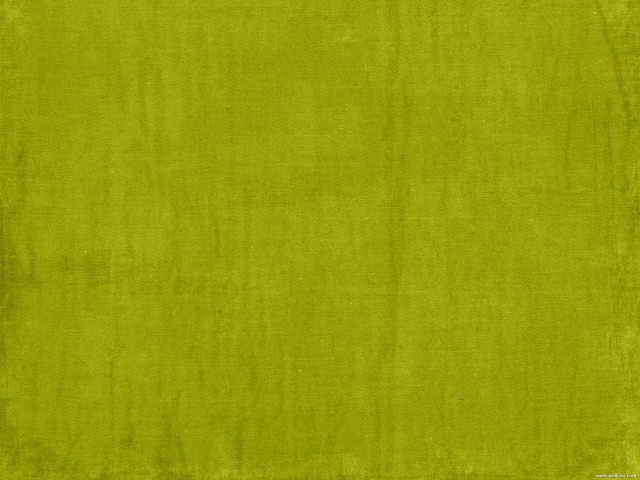 Green background white border black #6 free wallpaper for desktop - medium preview image