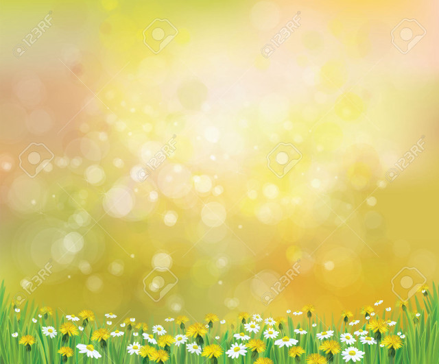 Beautiful spring background daisies grass free wallpaper for desktop - medium preview image
