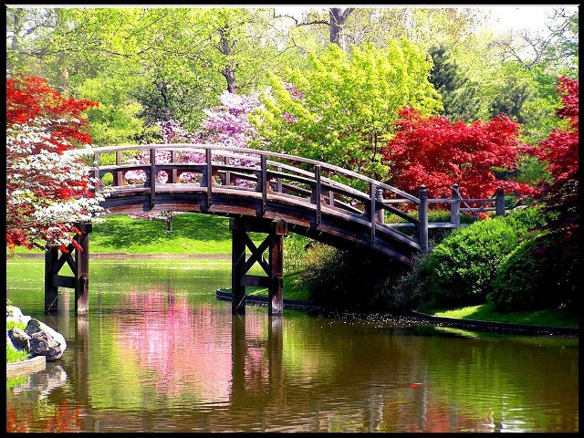 Bridge pond boat trees red free wallpaper for desktop - medium preview image