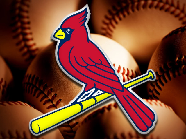 Baseball cardinal bat closeup image free wallpaper for desktop - medium preview image