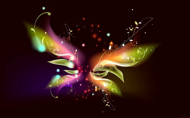 Colorful butterfly black background wings free wallpaper for desktop - medium preview image