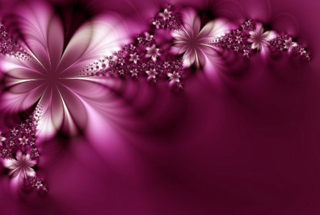 Purple background flowers side white #3 free wallpaper for desktop - medium preview image