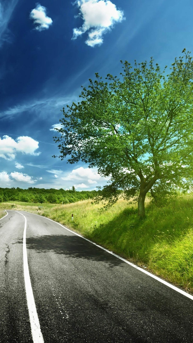 Road tree blue sky clouds free wallpaper for mobile - medium preview image