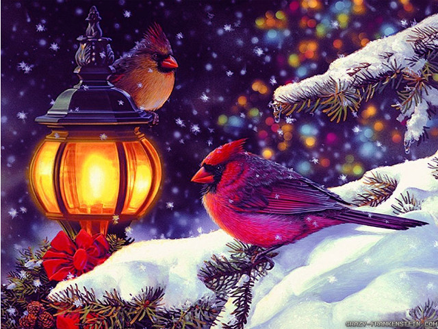 Snowy branch birds christmas lantern free wallpaper for desktop - medium preview image