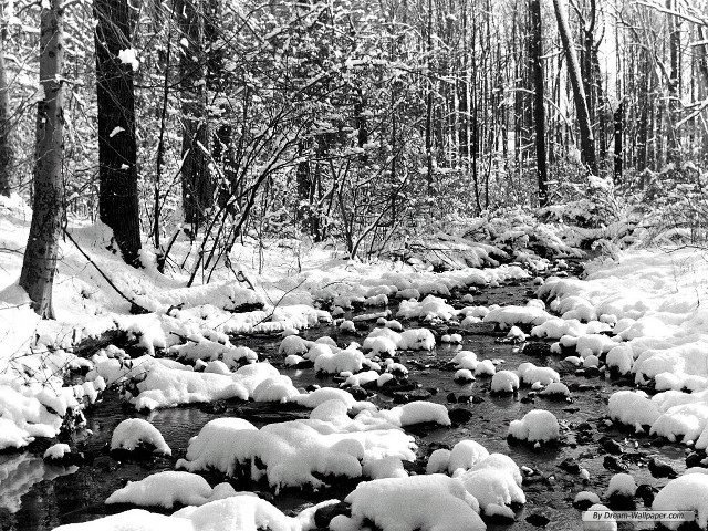 Snowy stream forest rocks trees #2 free wallpaper for desktop - medium preview image