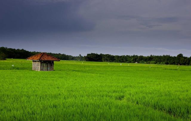 Small hut green field cloudy free wallpaper for desktop - medium preview image