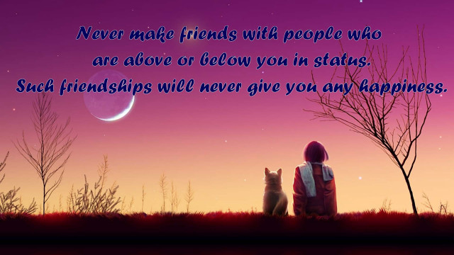 Person bench dog night sky free wallpaper for desktop - medium preview image