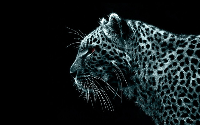Leopard face black white red #3 free wallpaper for desktop - medium preview image