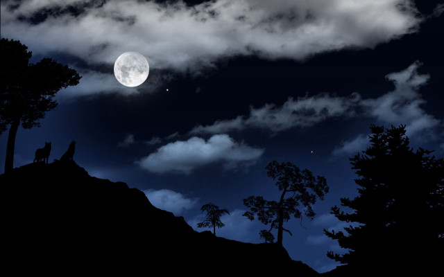 Wolf hill night moon clouds free wallpaper for desktop - medium preview image