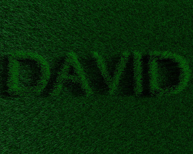 Green grass field david written free wallpaper for desktop - medium preview image
