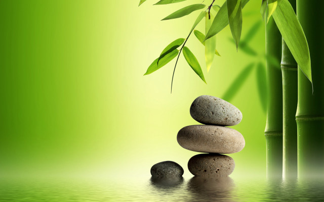 Bamboo rocks leaves green water free wallpaper for desktop - medium preview image