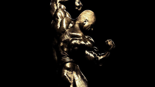 Bodybuilder anthony palumbo gold sculpture free wallpaper for desktop - medium preview image