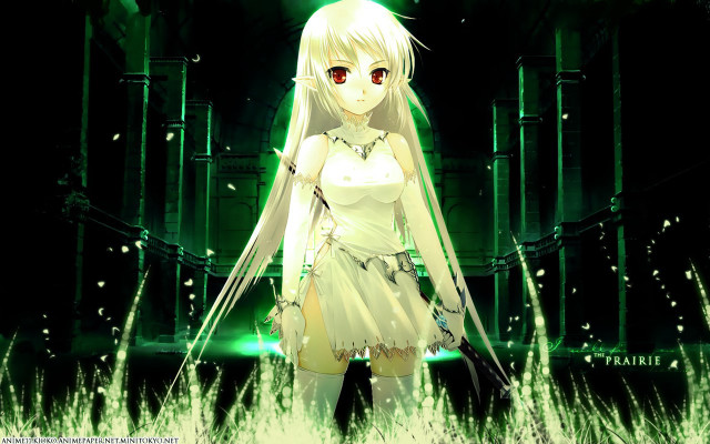 Girl white dress field sword free wallpaper for desktop - medium preview image
