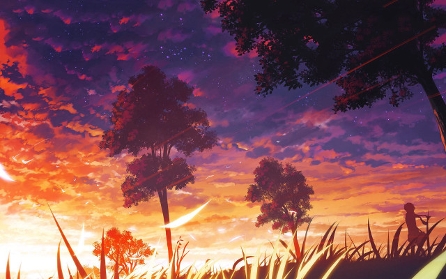 Sunset tree person bench distance free wallpaper for desktop - medium preview image