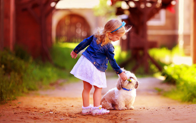 Girl petting dog bridge autumn free wallpaper for desktop - medium preview image