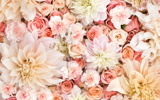 Pink white flowers wall group free wallpaper for desktop - medium preview image